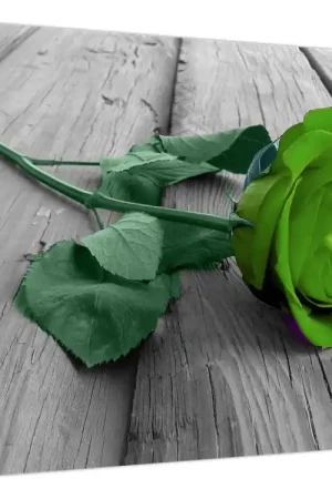 Schilderij - Groene roos Ekspresowa dostawa