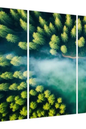 Schilderij - Een bos gehuld in mist Oryginalny