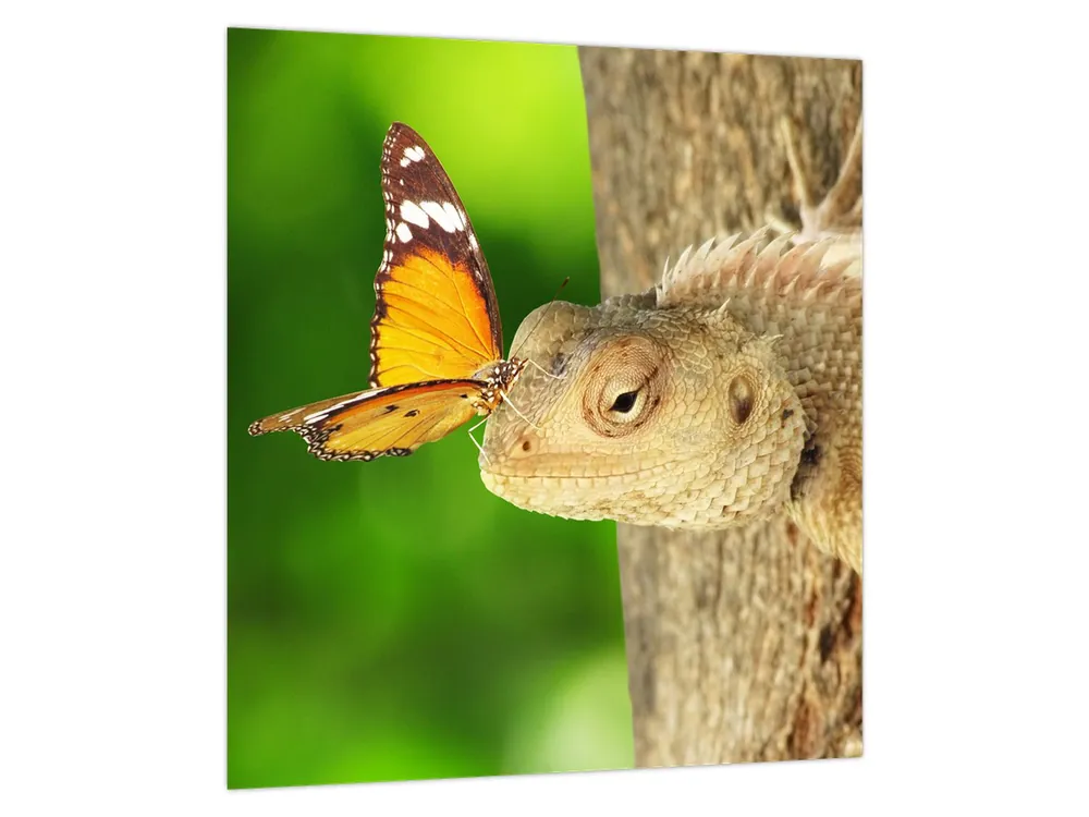 Schilderij - Hagedis Nowość