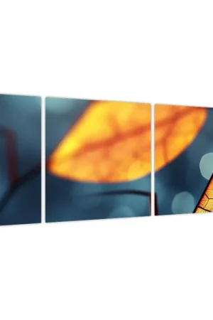 Schilderij - Textuur van bladeren Oferta limitowana