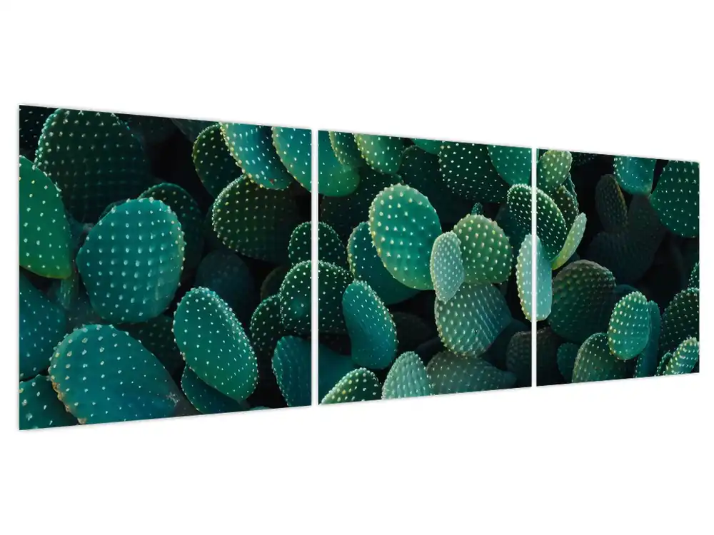 Oryginalny Schilderij - Opuntia