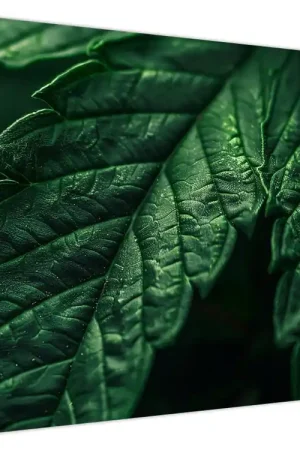 Oferta limitowana Schilderij - Detail van het blad