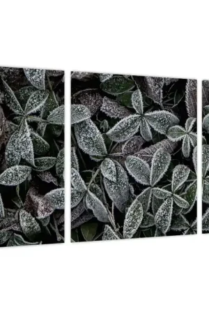 Schilderij - Bevroren planten Popularny