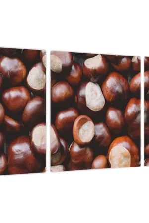 Kup teraz Schilderij - Rijpe kastanjes