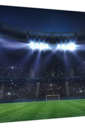 Wysoka jakość Schilderij - Voetbalstadion