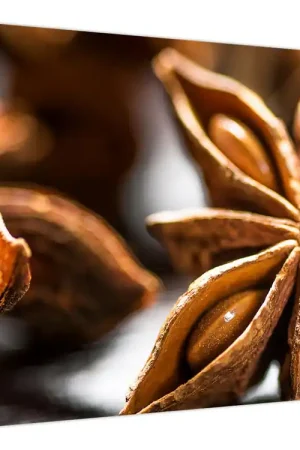 Schilderij - Anijs Tylko dziś