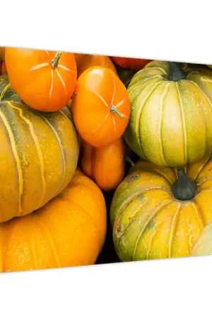 Ostatnia szansa Schilderij - Herfst pompoen