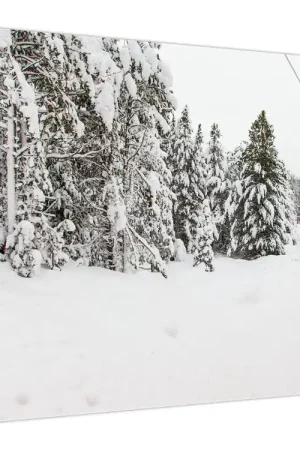 Schilderij - Trein in een besneeuwd landschap Tani