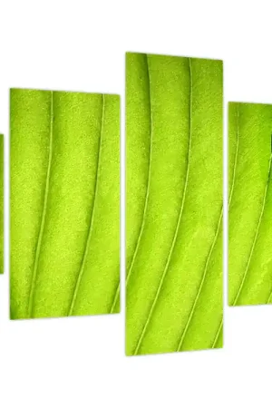 Tylko dziś Schilderij - Detail van groen blad