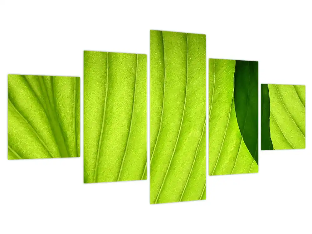 Tylko dziś Schilderij - Detail van groen blad