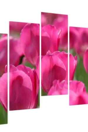 Oferta limitowana Schilderij - Roze tulpen