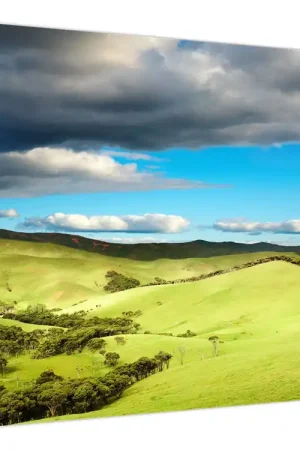 Schilderij - Groen landschap met heuvels Ostatnia szansa
