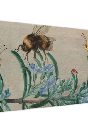 Schilderij - Jan van Kessel the Elder, Insects and a Sprig of Rosemary, reproducties Niska cena