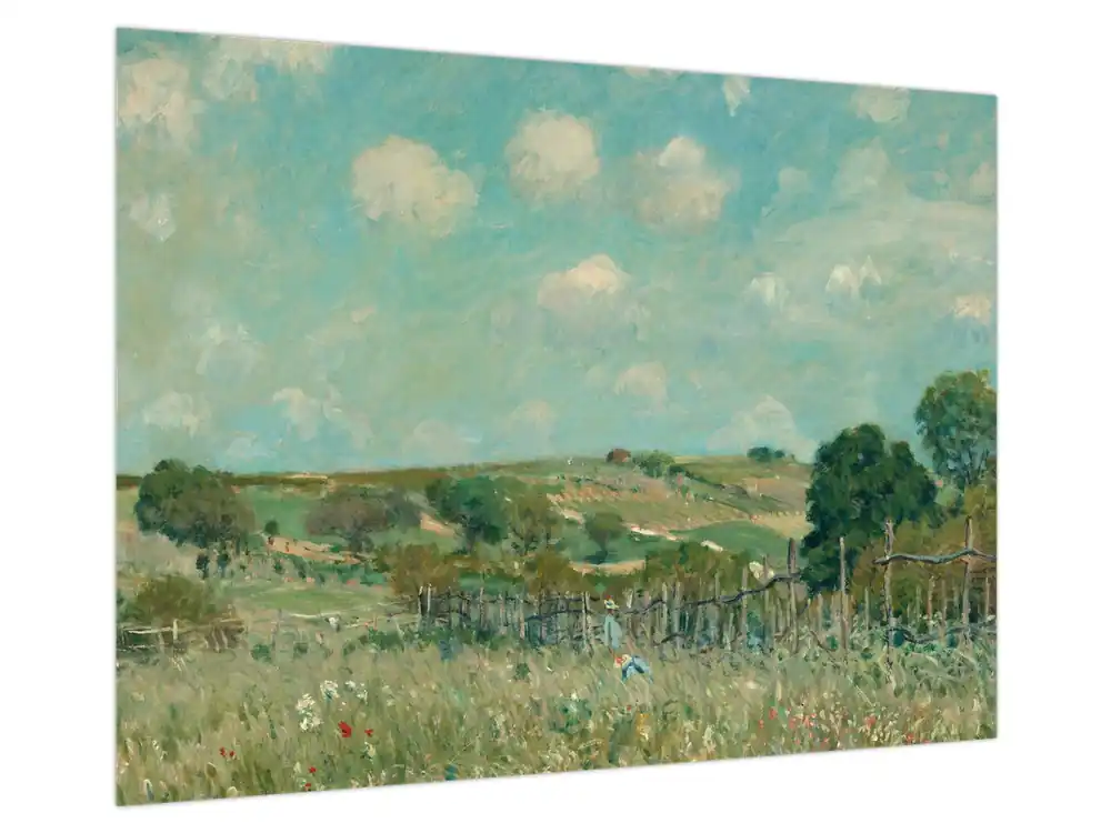 Schilderij - Alfred Sisley,Meadow, reproducties Ostatnia szansa