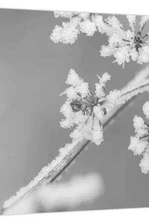 Nowość Schilderij - Diepvries