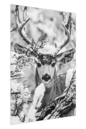 Schilderij - Herten in de winter Nowość