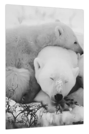 Schilderij - IJsberen Zwrot pieniędzy