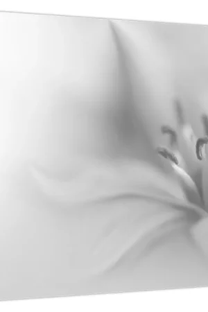 Schilderij - Gevoelige Lelie Oryginalny