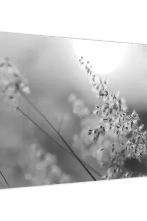 Schilderij - Herfstweide Popularny