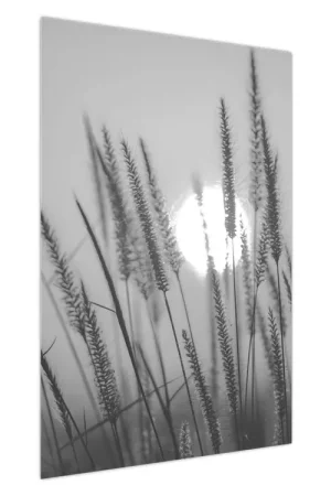 Szybka dostawa Schilderij - Weiland bij zonsondergang