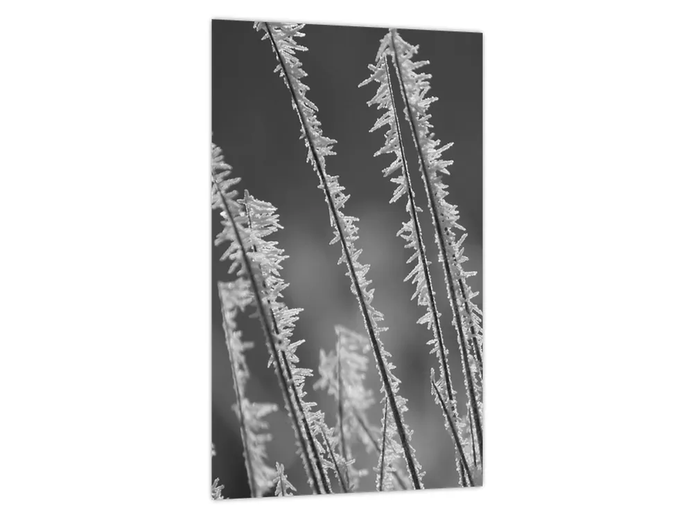 Promocja Schilderij - Vrieskou