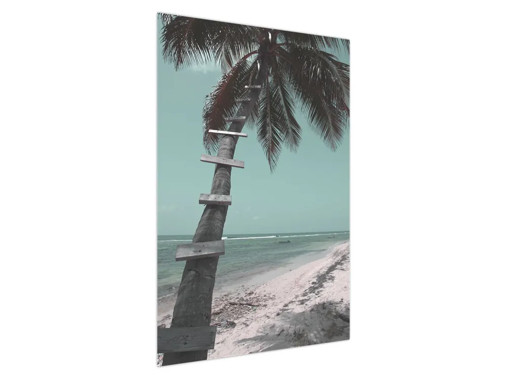 Kup teraz Schilderij - Palma in de Caraïben