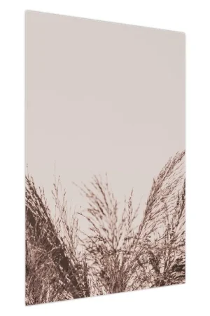 Szybka dostawa Schilderij - Gedroogd gras