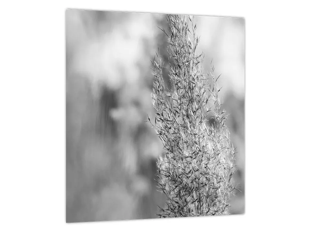 Schilderij - Boho pampagras Oferta