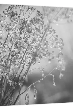 Wyprzedaż Schilderij - Weide na de regen