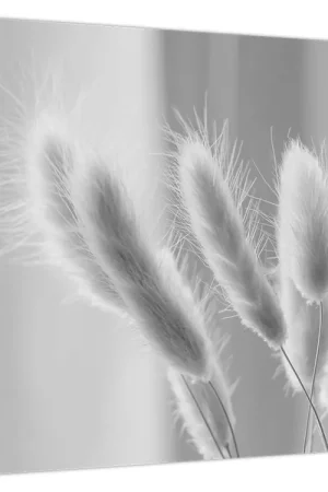 Schilderij - Konijnenstaartgras Tani