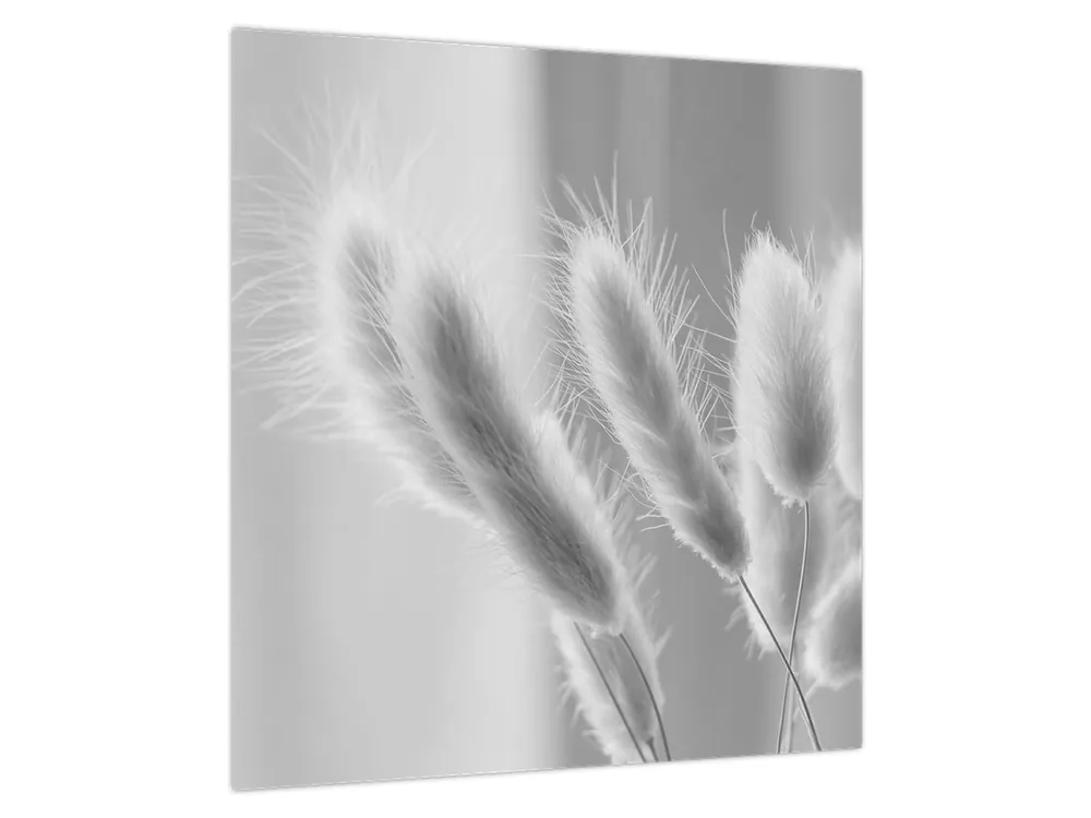 Schilderij - Konijnenstaartgras Tani