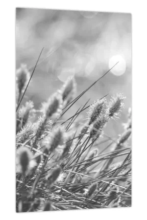 Ostatnia szansa Schilderij - Beige zacht gras N⁰1