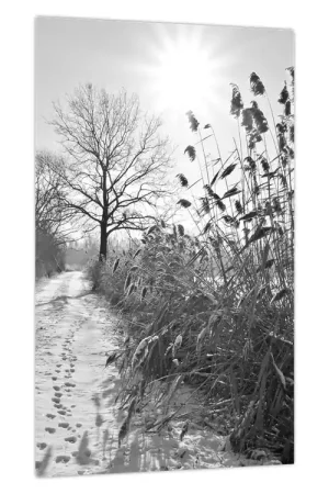 Niska cena Schilderij - Velden in de winter