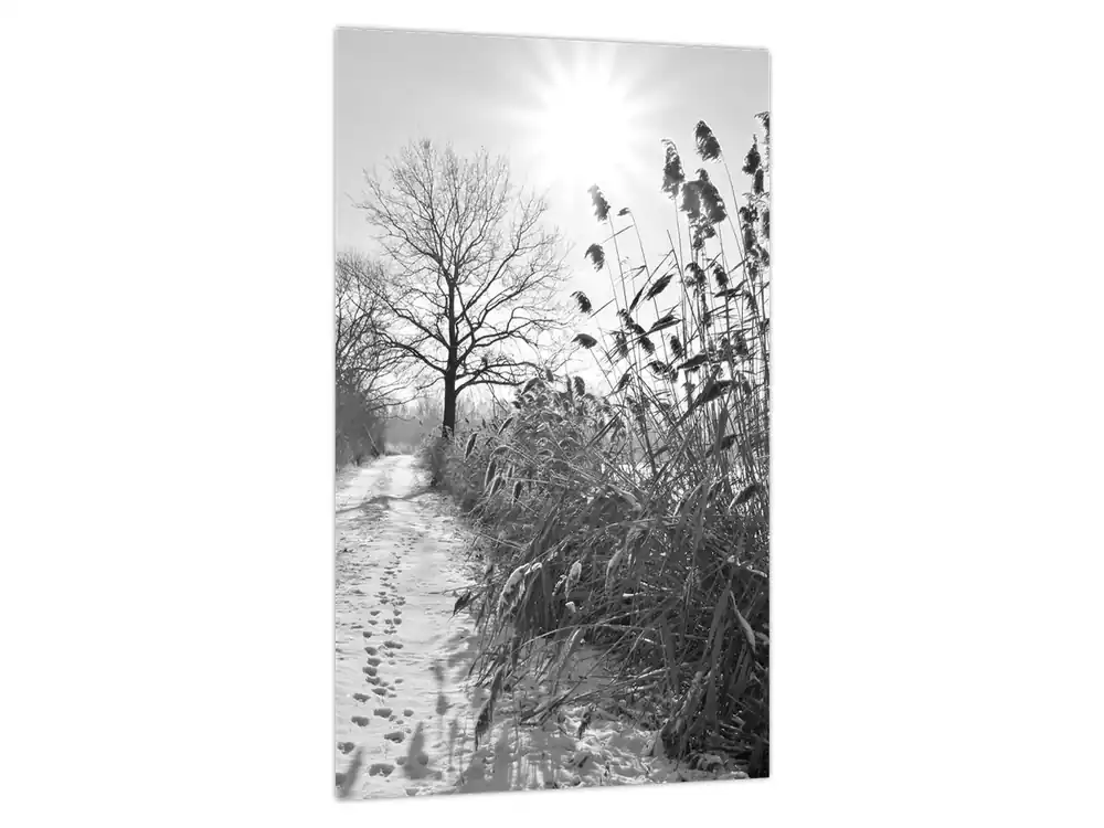 Niska cena Schilderij - Velden in de winter