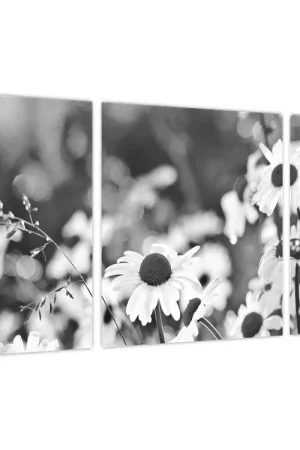 Popularny Schilderij - Madeliefjes