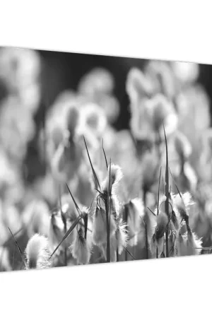 Schilderij - Zomerweide Wysoka jakość