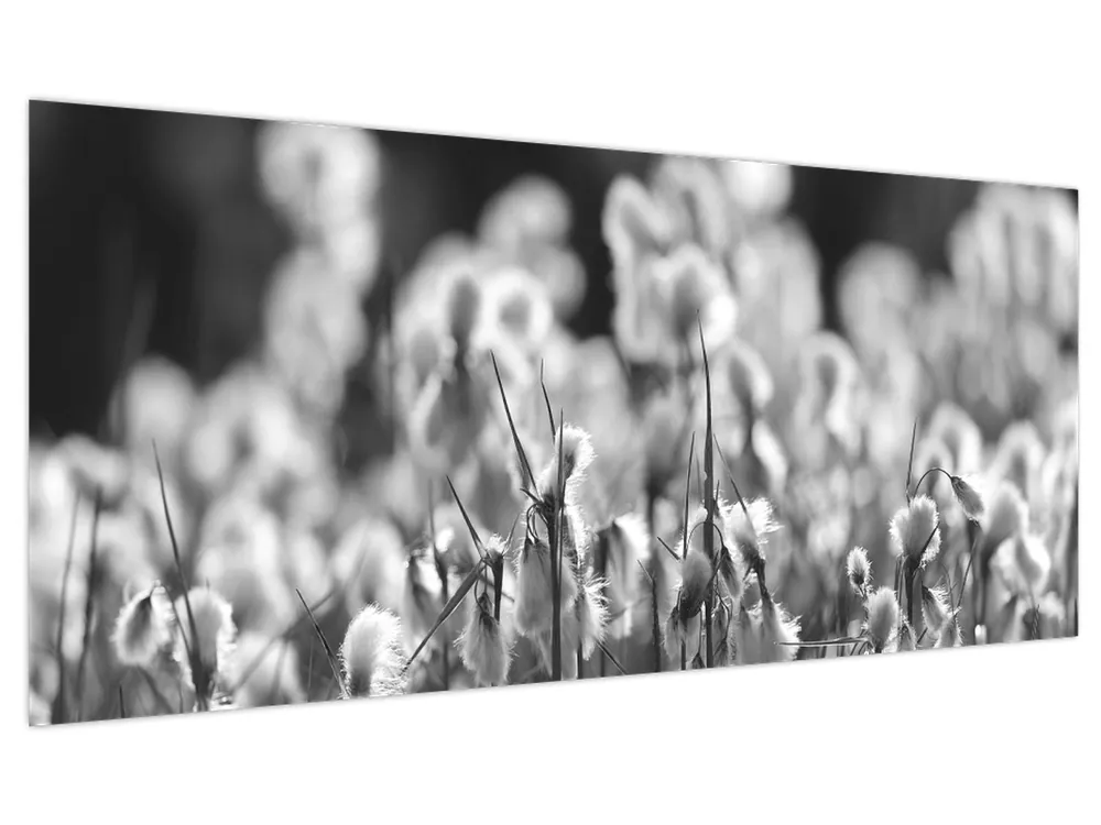 Schilderij - Zomerweide Wysoka jakość