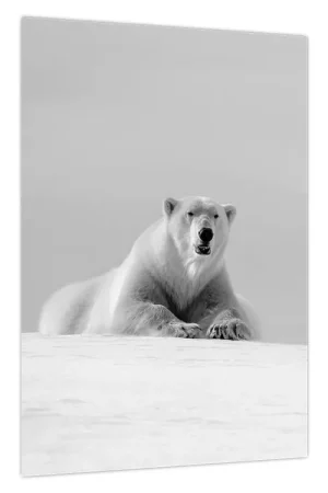 Autentyczny Schilderij - Ijsbeer