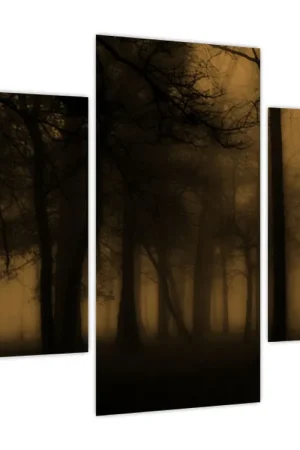 Schilderij - Donker bos Zamów teraz