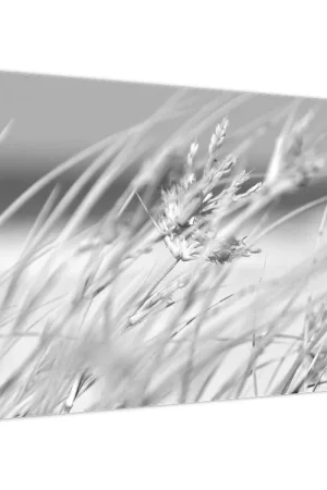 Bezpieczna płatność Schilderij - Strandgras