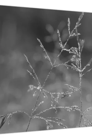 Schilderij - Landweide Szybka dostawa