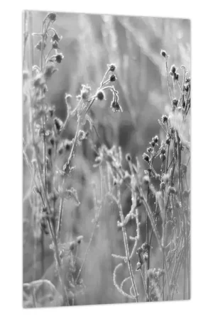 Ekspresowa dostawa Schilderij - Wilde weide