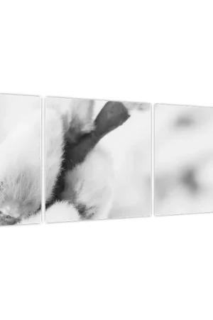 Premium Schilderij - Het begin van de lente