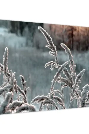 Schilderij - Bevroren weide Oryginalny
