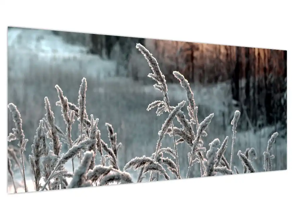 Schilderij - Bevroren weide Oryginalny