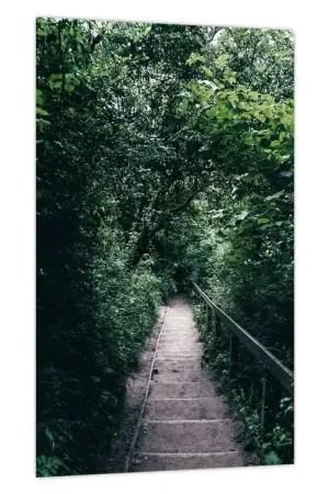 Tylko dziś Schilderij - Het pad door het bos