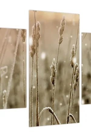 Schilderij - Harmonieuze weide Zwrot pieniędzy