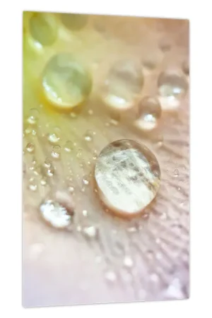 Schilderij - Dauwdruppels Ekspresowa dostawa