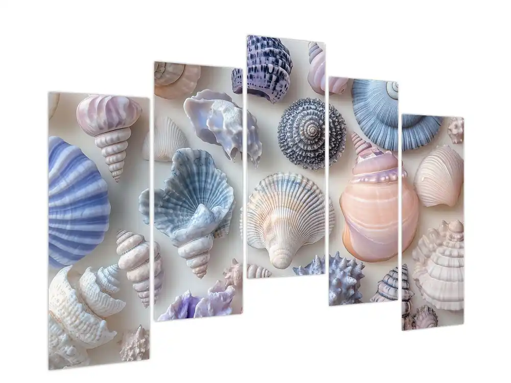 Tani Schilderij - Collectie schelpen