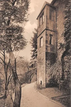 Duitsland Auf der Burgterrassee Den weg zum Felsermeere Schloss 1908 Kasteel Deutschland Europa HC61709 Promocja